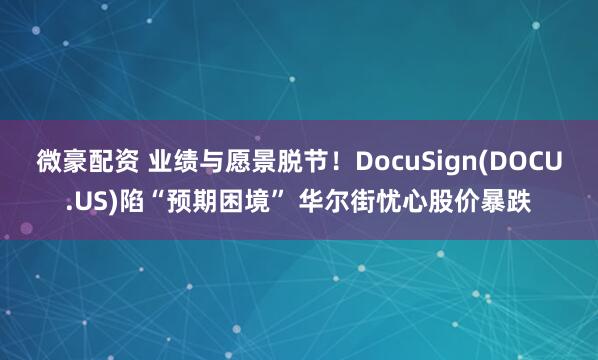 微豪配资 业绩与愿景脱节！DocuSign(DOCU.US)陷“预期困境” 华尔街忧心股价暴跌