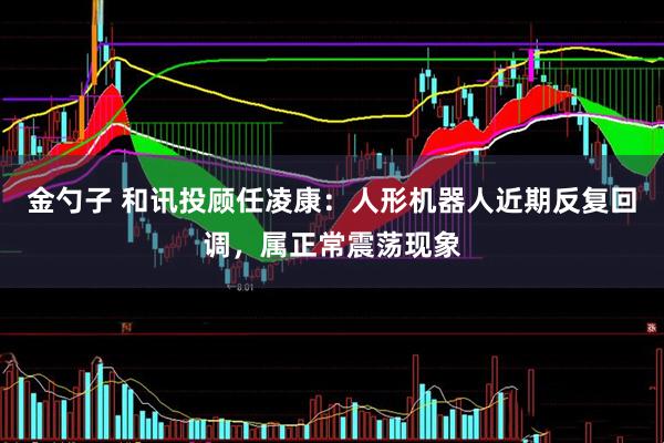 金勺子 和讯投顾任凌康：人形机器人近期反复回调，属正常震荡现象