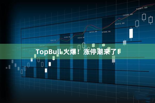 TopBull 火爆！涨停潮来了！