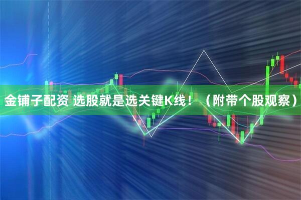 金铺子配资 选股就是选关键K线!(附带个股观察)