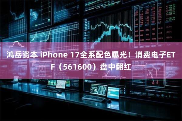 鸿岳资本 iPhone 17全系配色曝光！消费电子ETF（561600）盘中翻红