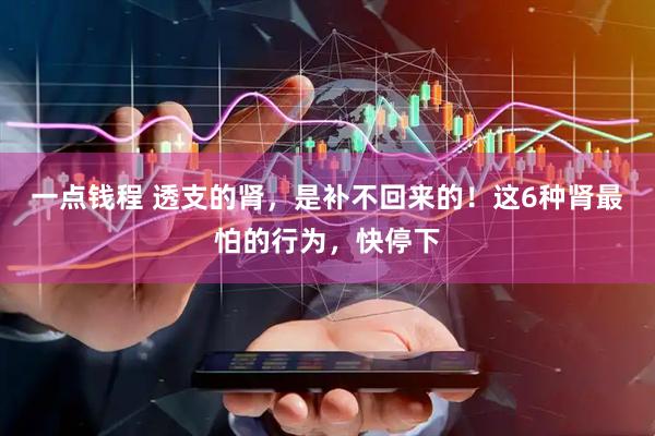 一点钱程 透支的肾，是补不回来的！这6种肾最怕的行为，快停下