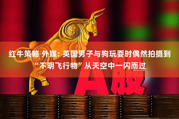 红牛策略 外媒: 英国男子与狗玩耍时偶然拍摄到“不明飞行物”从天空中一闪而过