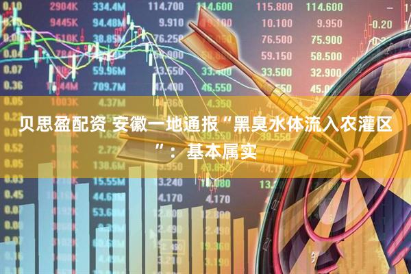 贝思盈配资 安徽一地通报“黑臭水体流入农灌区”：基本属实