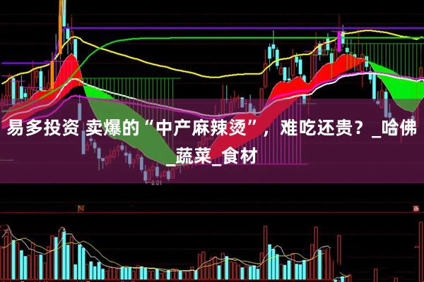 易多投资 卖爆的“中产麻辣烫”，难吃还贵？_哈佛_蔬菜_食材