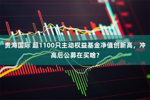 贵海国际 超1100只主动权益基金净值创新高，冲高后公募在买啥？