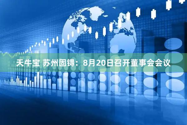 天牛宝 苏州固锝：8月20日召开董事会会议