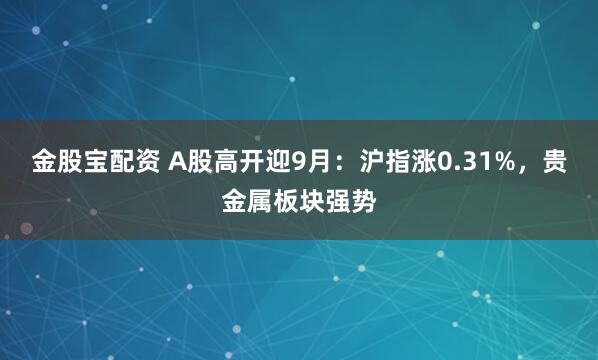 金股宝配资 A股高开迎9月：沪指涨0.31%，贵金属板块强势