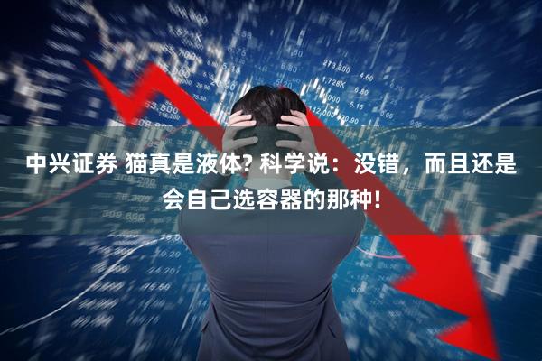 中兴证券 猫真是液体? 科学说：没错，而且还是会自己选容器的那种!