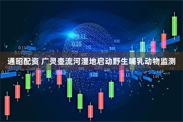 通昭配资 广灵壶流河湿地启动野生哺乳动物监测